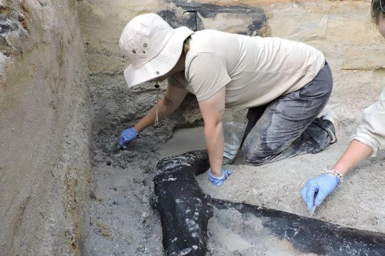 Phát hiện công trình bằng gỗ có thể có từ cách đây gần 500.000 năm