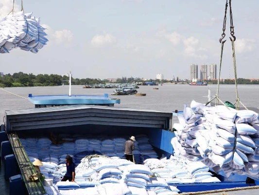 Gạo là một trong những mặt hàng xuất khẩu của Việt Nam sang Guinea-Bissau. (Ảnh: Đình Huệ/TTXVN)