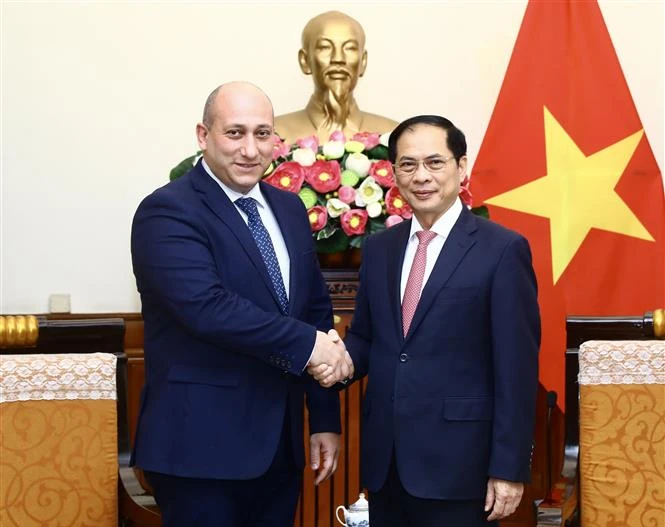 Bộ trưởng Ngoại giao Bùi Thanh Sơn tiếp Thứ trưởng Ngoại giao Gruzia Alexander Khvtiashvili. (Ảnh: Lâm Khánh/TTXVN)