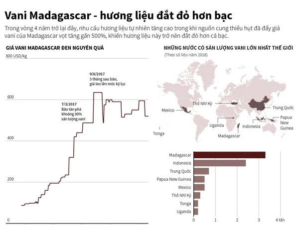 [Infographics] Vani Madagascar - hương liệu đắt đỏ hơn bạc