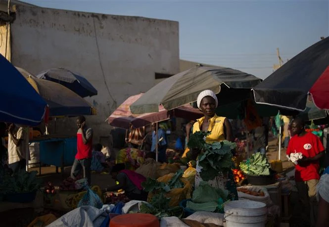 Khu vực châu Phi cận Sahara đối mặt với một “thập kỷ mất mát” 