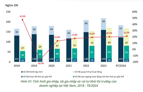 Screenshot 2024-10-15 172146.png