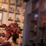 Ngựa Gióng sơn mài: Di sản Đường Lâm và hành trình vươn mình hiện đại