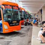 Hiện nay, thị trường nhân lực lao động đã xảy ra tình trạng thiếu hụt nghiêm trọng lái xe đầu kéo, xe khách trên 30 chỗ ngồi. (Ảnh: Hoài Nam/Vietnam+)