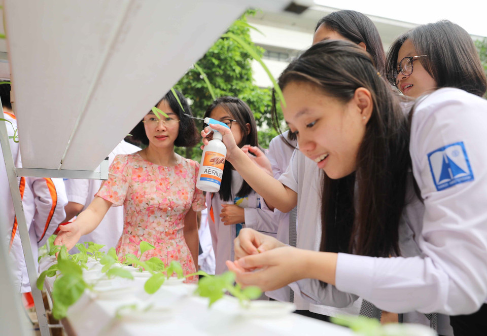 Vườn rau thủy canh là thành quả của việc đưa lý vào thực tiễn của học sinh nhà trường. Các bạn luôn hào hứng, vui vẻ khi được ngắm nhìn, chăm sóc những mầm xanh trong mỗi ngày tới trường.(Ảnh: Thanh Tùng/TTXVN)