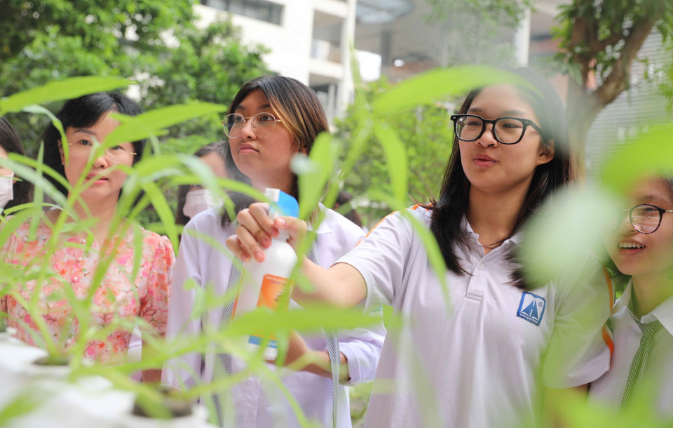 Ngoài học lý thuyết trên lớp, học sinh còn tích cực tham gia công tác ngoại khóa, cùng chung tay xanh hóa môi trường sư phạm.(Ảnh: Thanh Tùng/TTXVN)