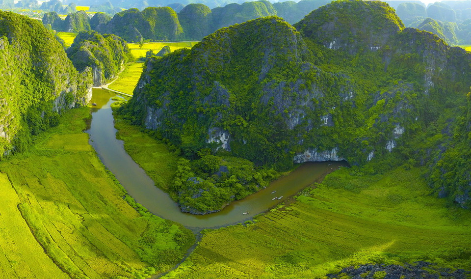  Cánh đồng lúa chín vàng nhìn từ đỉnh Hang Múa. (Ảnh: Minh Đức/TTXVN)