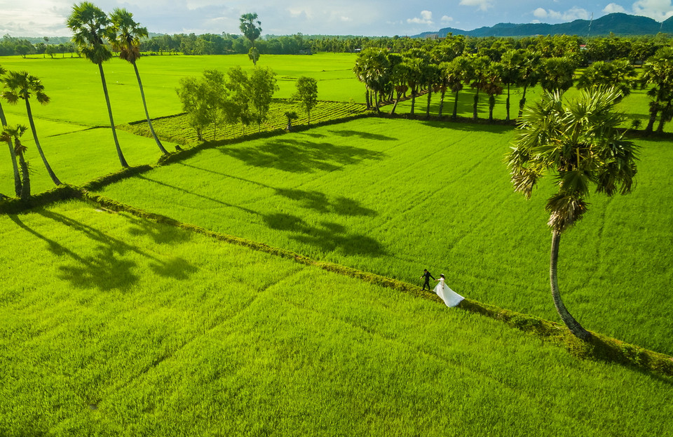 Giải Khuyến khích 'Mùa yêu' (Lê Thái Dương).