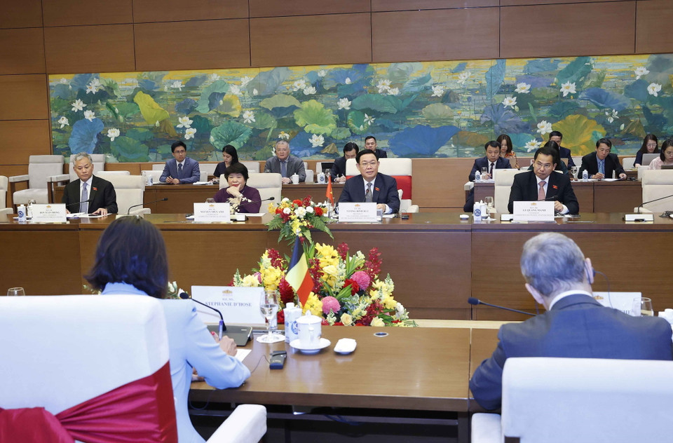 Quang cảnh hội đàm. (Ảnh: Doãn Tấn/TTXVN)