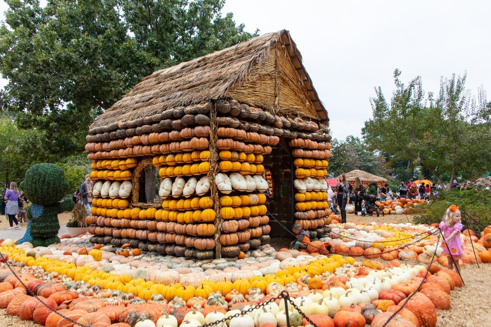 Ngôi làng bí ngô là sự kiện nổi bật nhất trong lễ hội Arboretum, được tổ chức tại vườn bách thảo thành phố Dallas (Mỹ) vào mùa thu hàng năm. (Ảnh: THX/TTXVN)