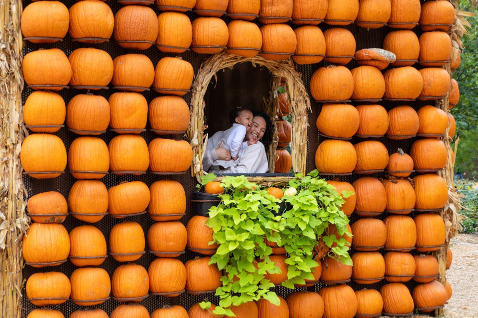 Du khách tham quan ngôi làng bí ngô tại Dallas, Texas, Mỹ, ngày 12/10/2023.(Ảnh: THX/TTXVN)