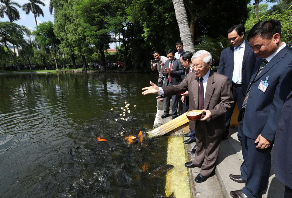 Tổng Bí thư Nguyễn Phú Trọng thăm ao cá Bác Hồ. (Ảnh: Trí Dũng/TTXVN)
