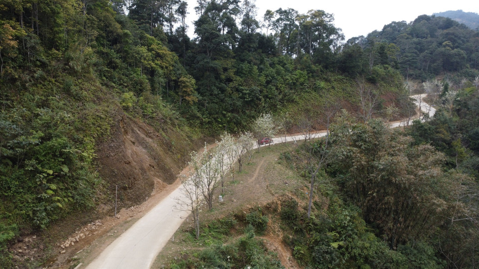 Tổ chức Kỷ lục Việt Nam đã trao bằng chứng nhận Kỷ lục về tuyến đường hoa lê dài nhất Việt Nam cho Ủy ban Nhân dân huyện Na Hang. (Ảnh: Nam Sương/TTXVN) 