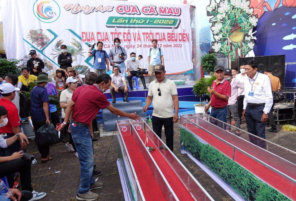 Tính chất độc và lạ của trò chơi đã tạo không khí phấn khởi, thu hút sự tham gia cổ vũ của đông đảo người dân và du khách. (Ảnh: Huỳnh Anh/TTXVN)