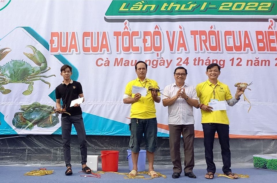 Du khách đạt thành tích cao khi tham gia trò chơi trói cua tại Ngày hội cua Cà Mau. (Ảnh: Huỳnh Anh/TTXVN)