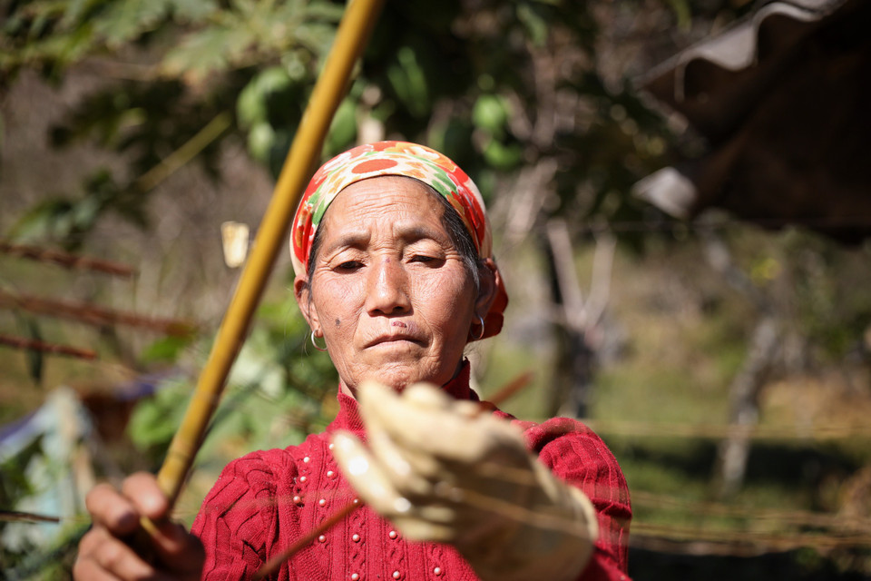 Nhìn gia đình nào trồng cây lanh trên nương, trong rừng là sẽ biết ngay gia đình đó có người phụ nữ chăm chỉ, khéo tay, cần cù, chịu khó và người con gái sinh ra trong gia đình đó sẽ được rất nhiều người để ý. Các em bé ngay từ khi 5-6 tuổi đã được bà hoặc mẹ dạy cách tuốt lanh, se lanh, dệt vải. (Ảnh: Xuân Mai/Vietnam+)