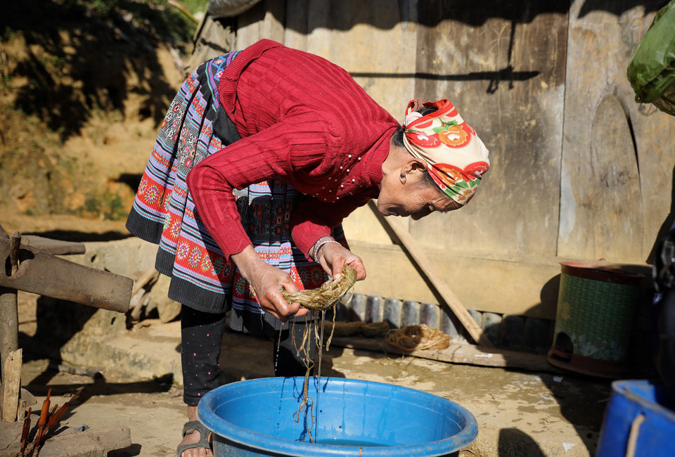 Việc tước sợi cần đôi tay rất khéo léo, vì nếu không sau này sợi lanh không đều, khó se, không chắc. Sợi lanh tước ra được bó từng nắm, rồi cho vào cối giã, ngâm qua đêm trước khi se. (Ảnh: Xuân Mai/Vietnam+)