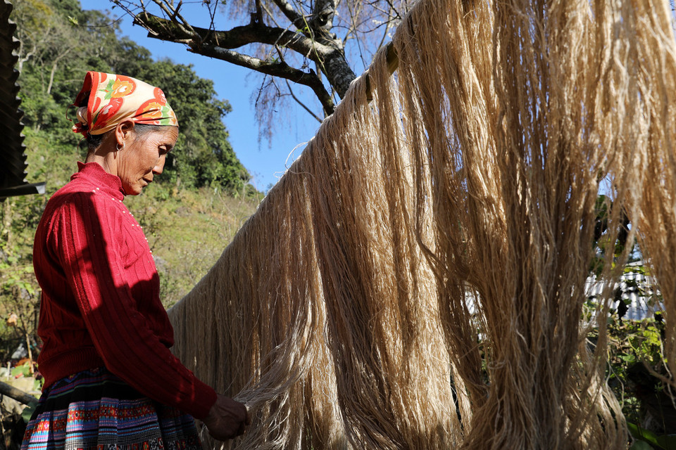 Đem phơi vài nắng cho sợi lanh khô kiệt. Đây chính là nguyên liệu cho công đoạn dệt. (Ảnh: Xuân Mai/Vietnam+)
