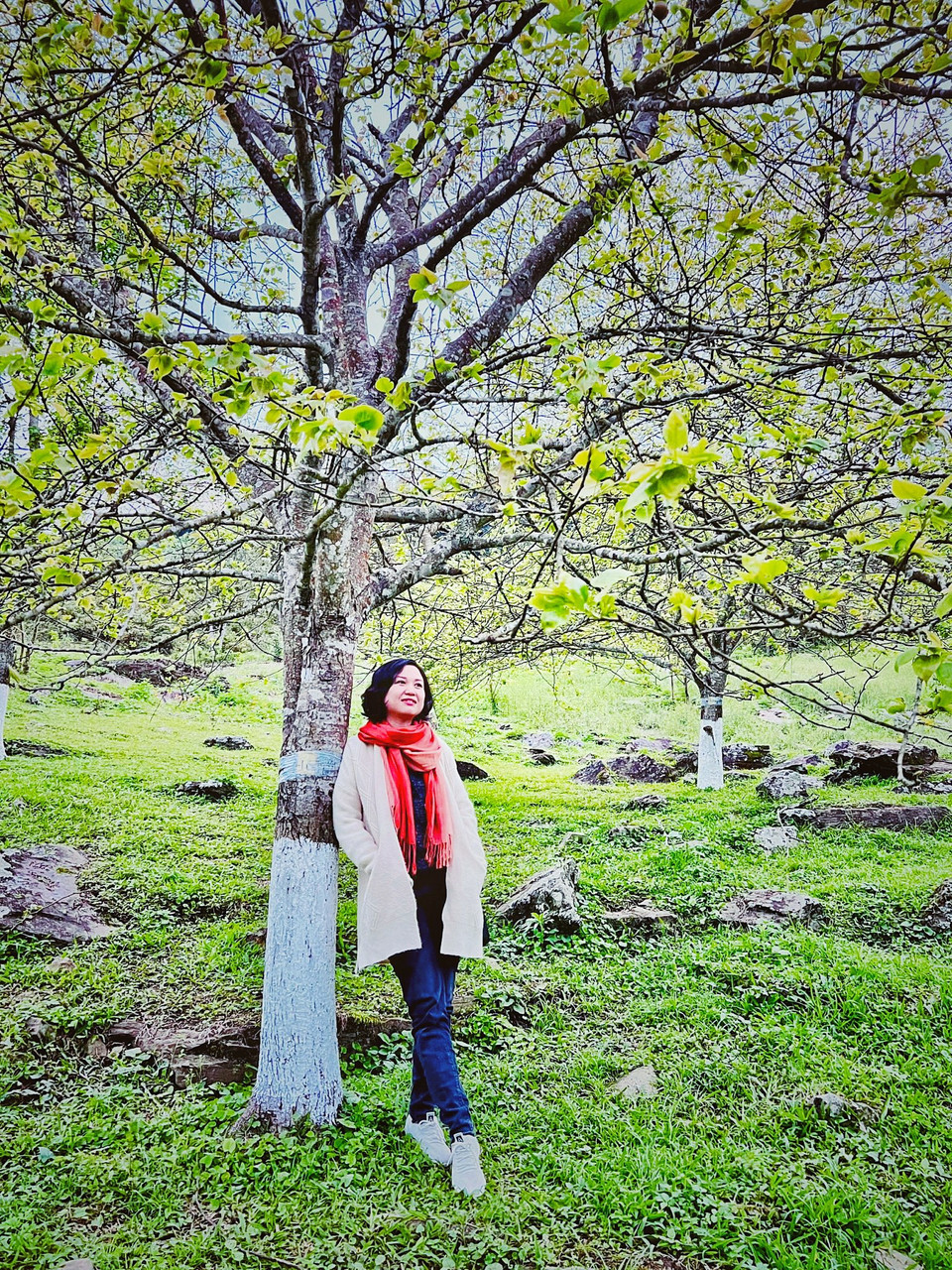 Tỉnh Tuyên Quang hiện đang đầu tư xây dựng hai tuyến đường cao tốc nối với cao tốc Hà Nội-Lào Cai và đường nối cao tốc Tuyên Quang-Hà Giang. Sau khi hoàn thành, tuyến đường này sẽ rút ngắn 2/3 thời gian từ Hà Nội lên Tuyên Quang, Hà Giang. (Ảnh: Mai Mai/Vietnam+)