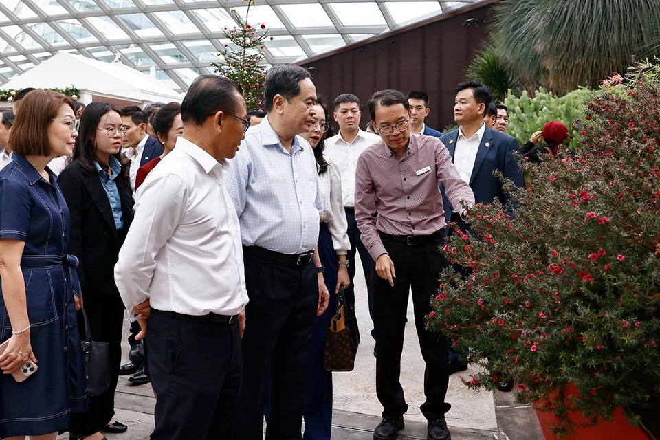 Chủ tịch Quốc hội Trần Thanh Mẫn và Phu nhân cùng Chủ tịch Quốc hội Singapore Seah Kian Peng và phu nhân thăm Gardens By The Bay. (Ảnh: Doãn Tấn/TTXVN)