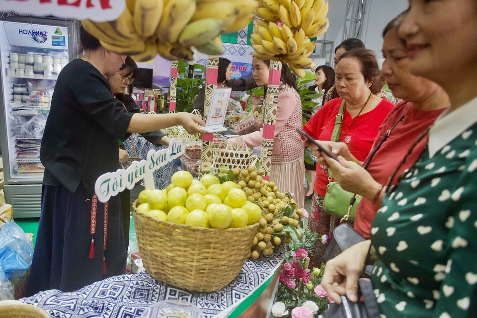 Sắc màu Tây Bắc. (Ảnh: Nhật Lam/Vietnam+)