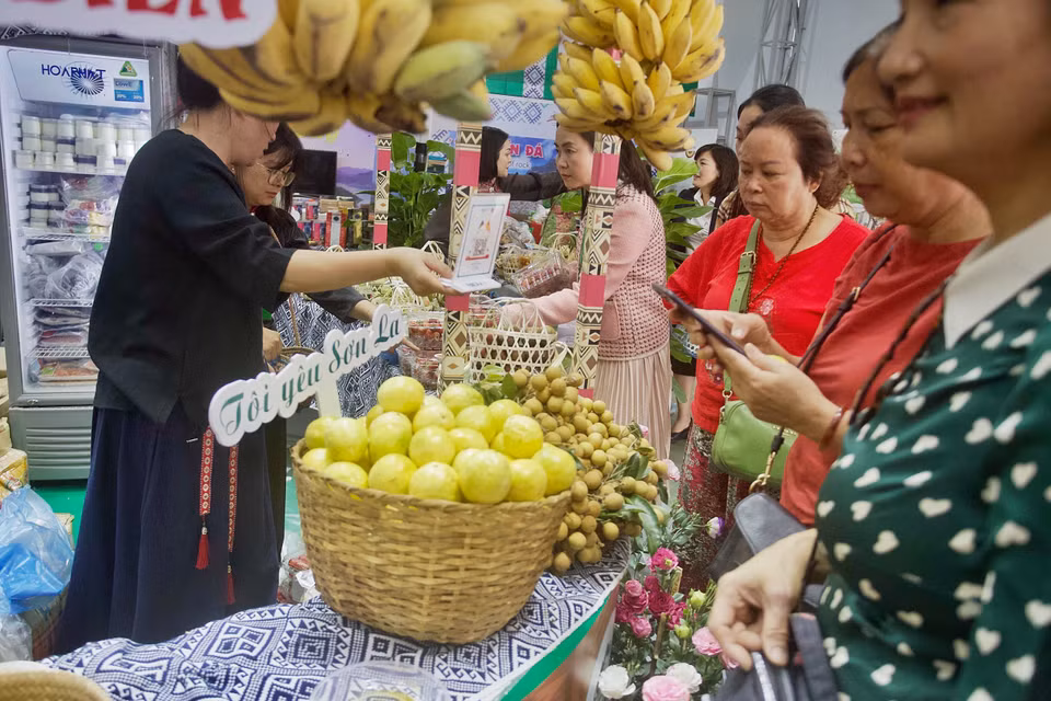 Sắc màu Tây Bắc. (Ảnh: Nhật Lam/Vietnam+)