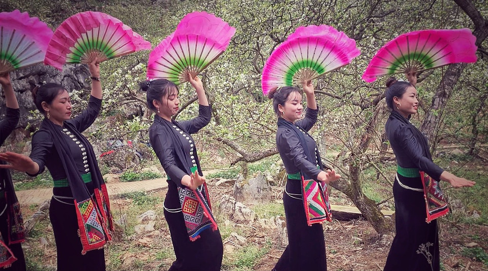 Điệu múa xòe rộn ràng dưới tán mận đang bung nở khoe sắc. (Ảnh: Xuân Mai/Vietnam+)
