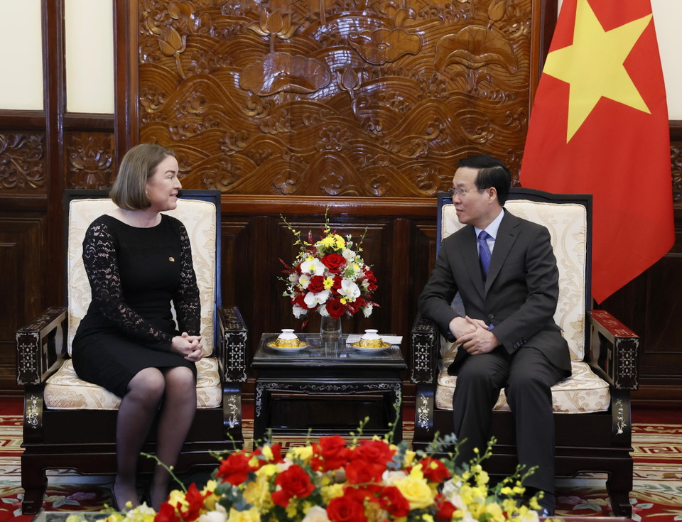 Chủ tịch nước Võ Văn Thưởng tiếp Đại sứ Cộng hòa Ireland Deirdre Ni Fhalluin. (Ảnh: Thống Nhất/TTXVN)