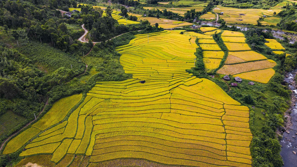 Cánh đồng bản Huổi Thanh nhìn từ trên cao như một bức tranh đa sắc. (Ảnh: Xuân Tư/TTXVN)