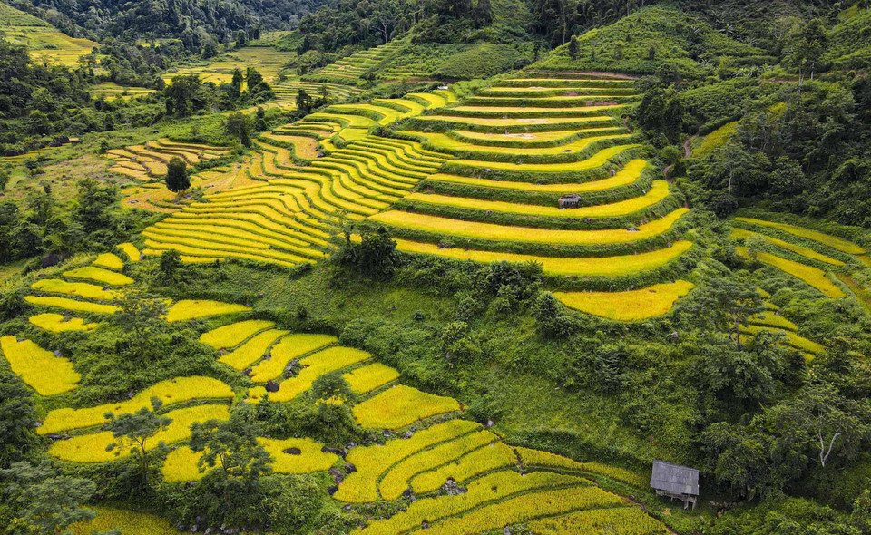 Những thửa ruộng bậc thang nằm bên bản làng của đồng bào Tây Bắc. (Ảnh: Xuân Tư/TTXVN)