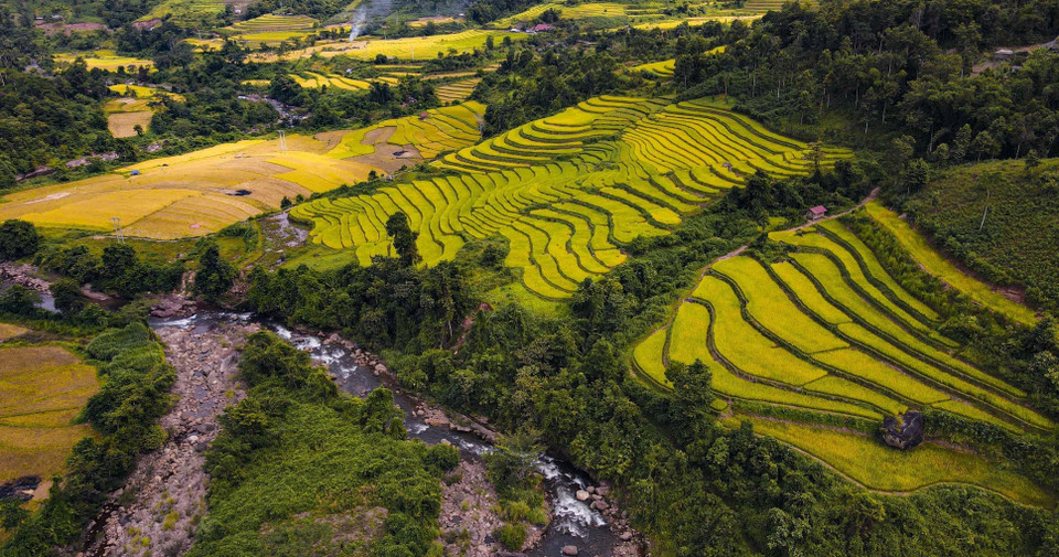 Vẻ đẹp của cánh đồng lúa Huổi Thanh. (Ảnh: Xuân Tư/TTXVN)