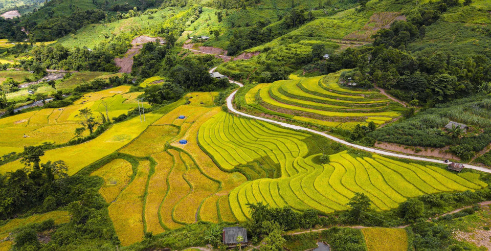 Những thửa ruộng bậc thang ở bản Huổi Thanh, xã Nậm Kè, huyện Mường Nhé. (Ảnh: Xuân Tư/TTXVN)