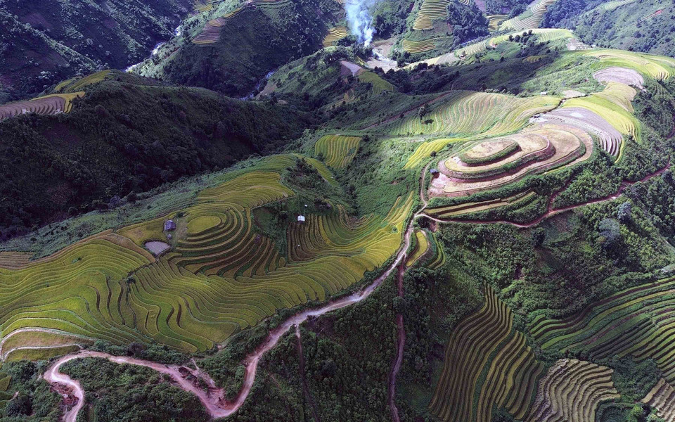 Những thửa ruộng bậc thang mùa lúa chín tại xã Xím Vàng như những dải lụa mềm mại, tạo khung cảnh thơ mộng. (Ảnh: Quang Quyết/TTXVN)