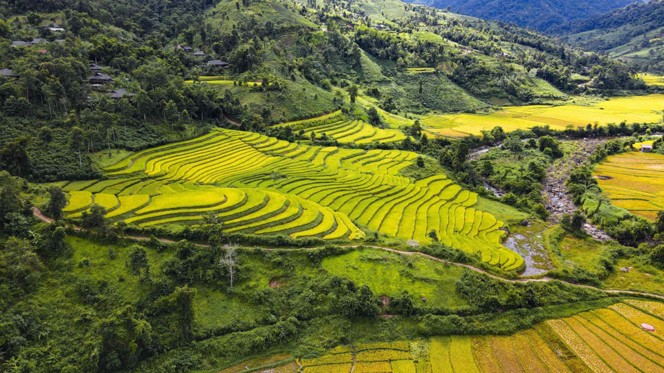Những thửa ruộng bậc thang uốn lượn theo sườn đồi. (Ảnh: Xuân Tư/TTXVN)