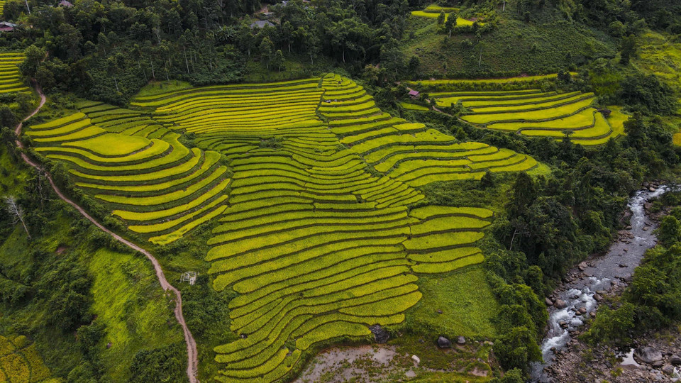 Những thửa ruộng bậc thang níu chân nhau kéo dài trên sườn đồi. (Ảnh: Xuân Tư/TTXVN)