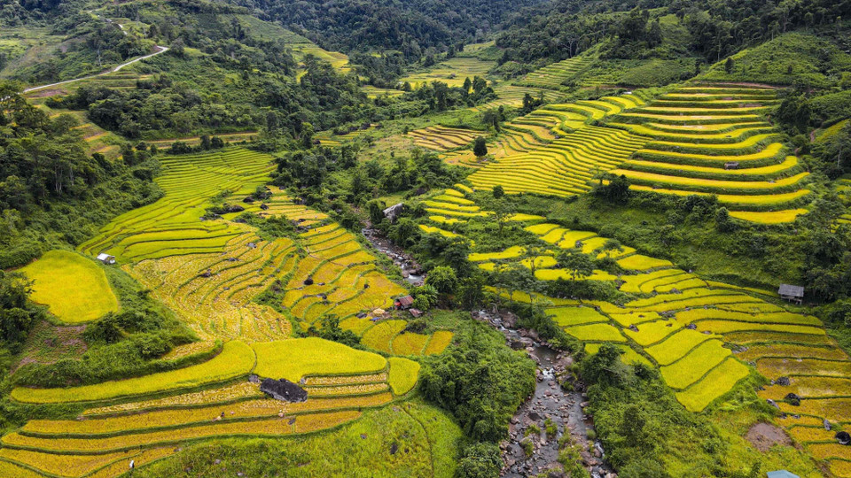 Những thửa ruộng bậc thang níu chân nhau trên những quả đồi. (Ảnh: Xuân Tư/TTXVN)