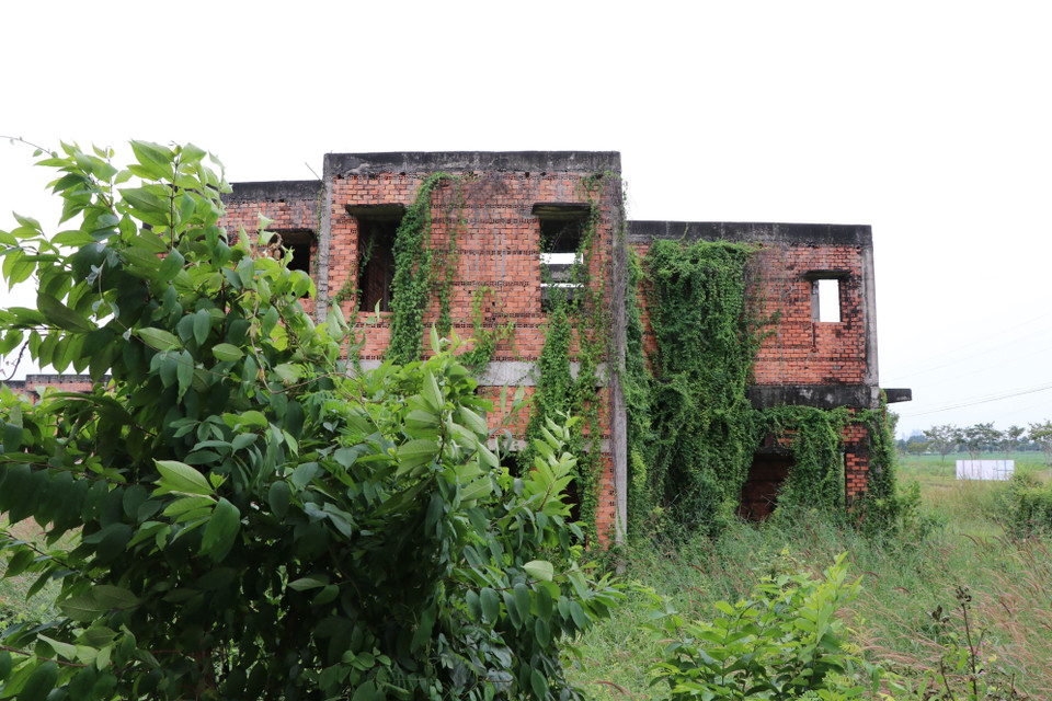 Nhiều căn biệt thự diện tích hàng trăm m2 đã hoàn thành phần xây thô, bị bỏ hoang hơn 10 năm nay tại khu đô thị Long Thọ - Phước An (Nhơn Trạch). (Ảnh: Sỹ Tuyên/TTXVN)