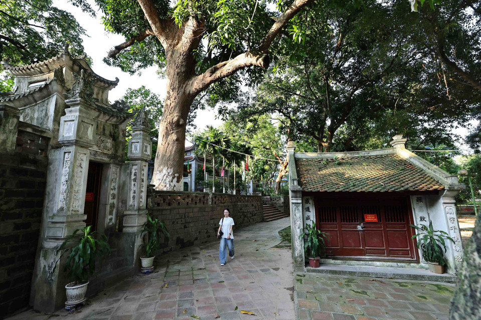 Đền Voi Phục có cảnh quan thoáng mát với các công trình kiến trúc cổ, con đường rợp bóng cây, dài gần trăm mét dẫn vào trong đền. (Ảnh: Minh Đức/TTXVN)