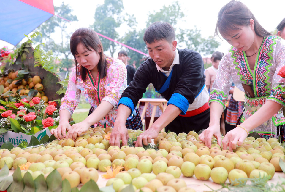 Các đội tham gia thi trưng bày mâm quả giới thiệu lê. (Ảnh: Quý Trung/TTXVN)