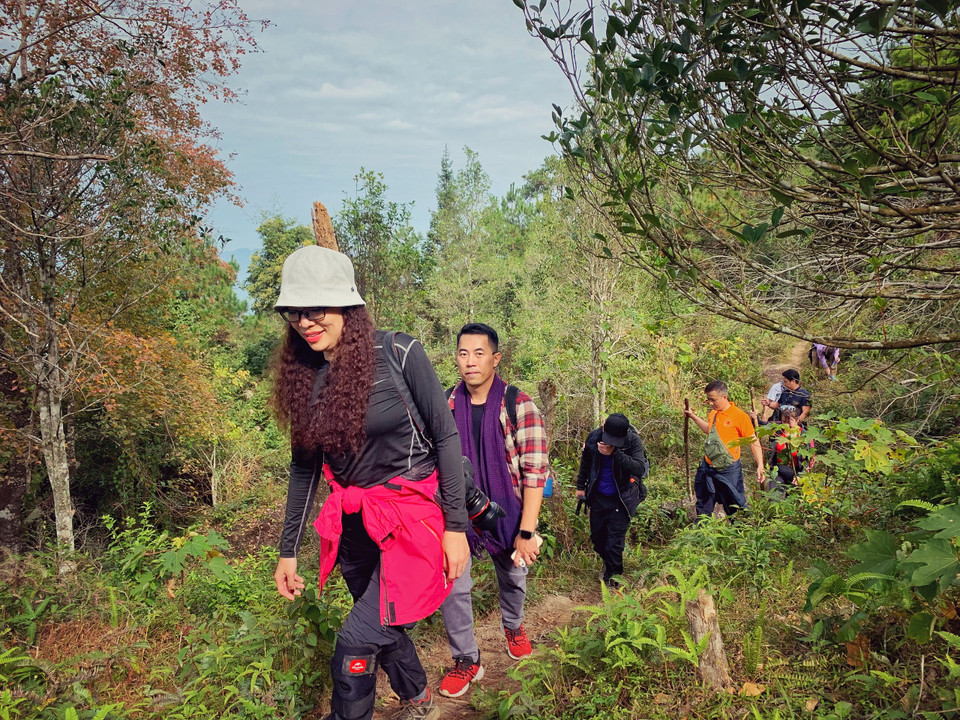 Có 4 cung đường để khám phá đỉnh Cao Xiêm. Từ trung tâm thị trấn Bình Liêu hướng bản Cao Thắng (xã Lục Hồn), hướng bản Lục Ngù (xã Húc Động), hướng bản Ngàn Mèo (xã Lục Hồn) và hướng bản Co Nhan (xã Tình Húc). Trong đó, hai cung đường Lục Ngù và Co Nhan chủ yếu là người dân địa phương chăn thả gia súc ở trên đỉnh núi này qua lại, còn với khách du lịch nên hướng bản Cao Thắng và Ngàn Mèo sẽ thuận lợi hơn. (Ảnh: Xuân Mai/Vietnam+)