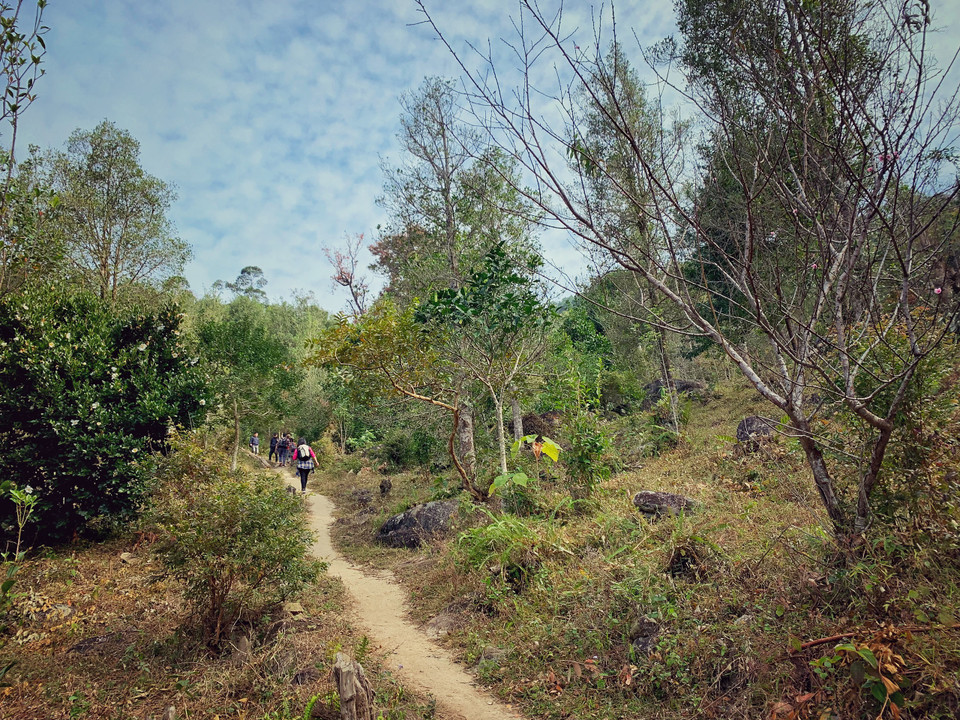 Đỉnh Cao Xiêm (huyện Bình Liêu, tỉnh Quảng Ninh) đang là điểm đến mới, thu hút nhiều du khách đam mê trekking và trải nghiệm thiên nhiên tìm đến nhờ vẻ đẹp vừa hoang sơ vừa hùng vỹ, thơ mộng. (Ảnh: Xuân Mai/Vietnam+)