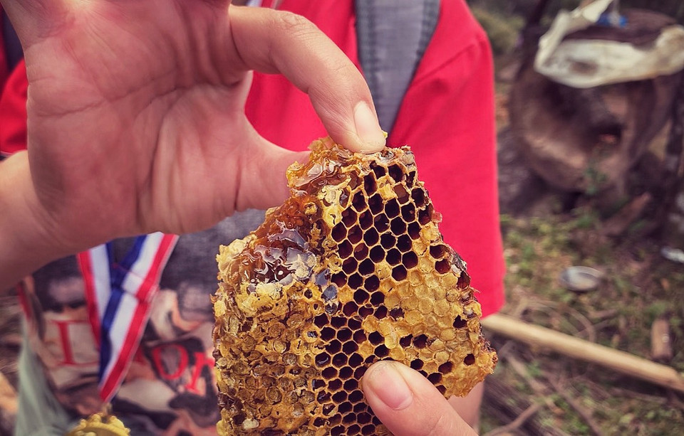 Món quà từ rừng xanh. (Ảnh: Xuân Mai/Vietnam+)