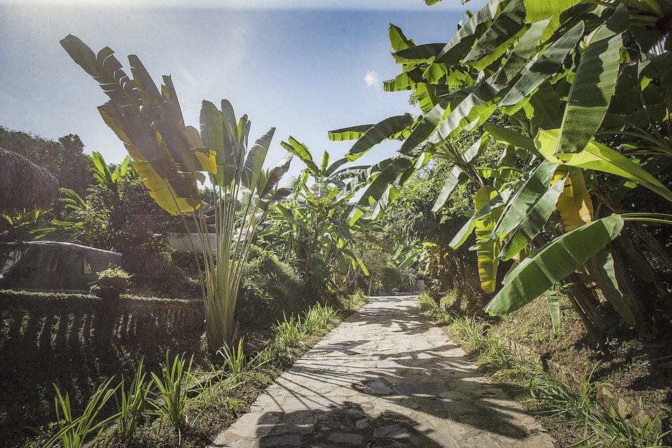  Lối vào Bảo tàng không gian văn hóa Mường như hòa vào với thiên nhiên. (Ảnh: Trọng Đạt/TTXVN)