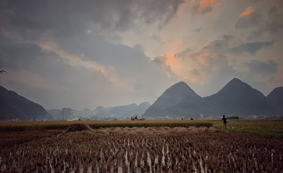 Hoàng hôn dần buông trên những thửa ruộng của vùng cao Lai Châu. Khói từ những đống rơm rạ hòa cùng với làn sương chiều mỏng manh đã vẽ nên một cảnh chiều quê thật yên bình. (Ảnh: Xuân Mai/Vietnam+)