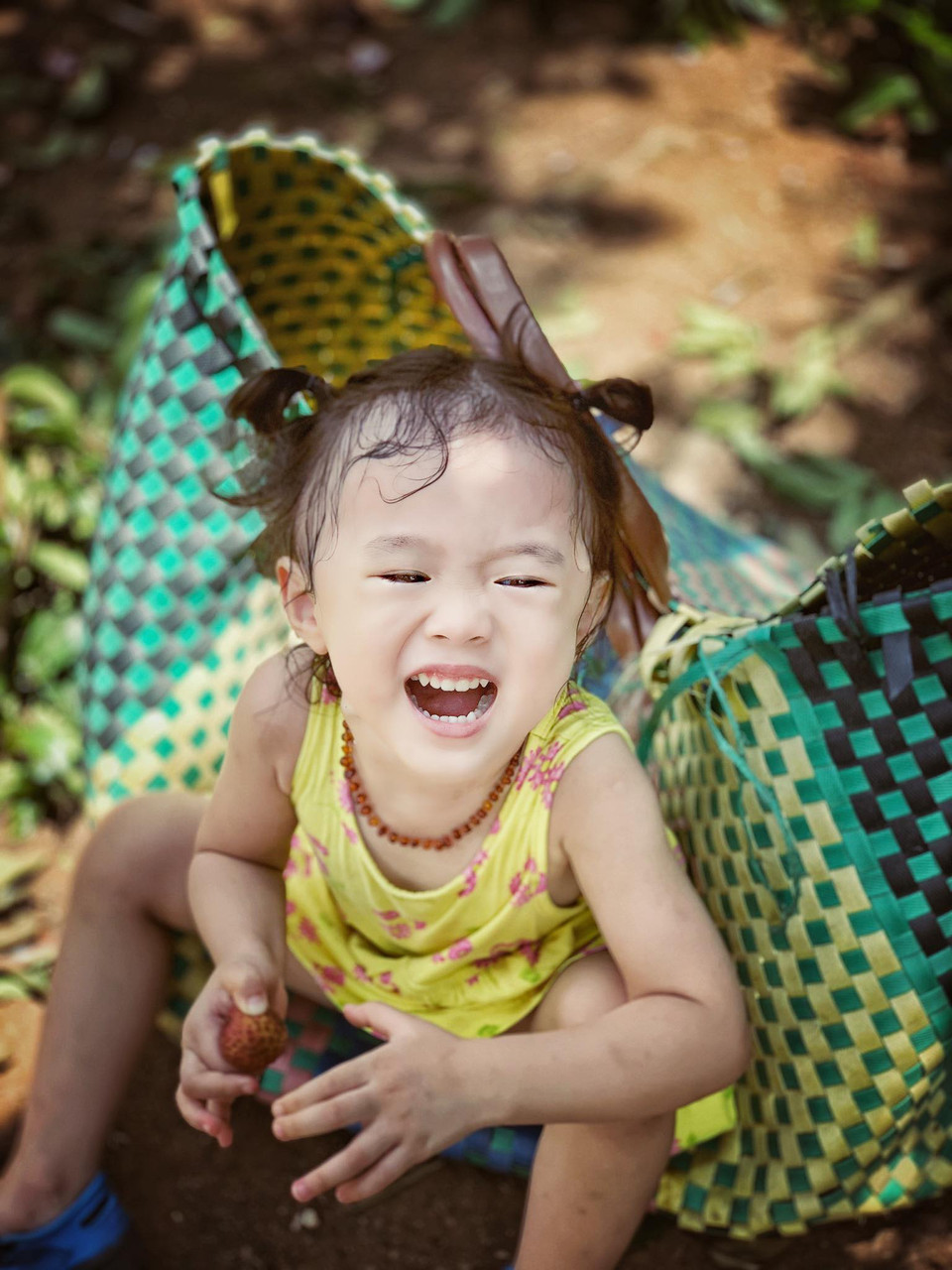 Niềm vui của trẻ thành phố khi được trải nghiệm ăn quả dưới bóng cây. (Ảnh: Xuân Mai/Vietnam+)