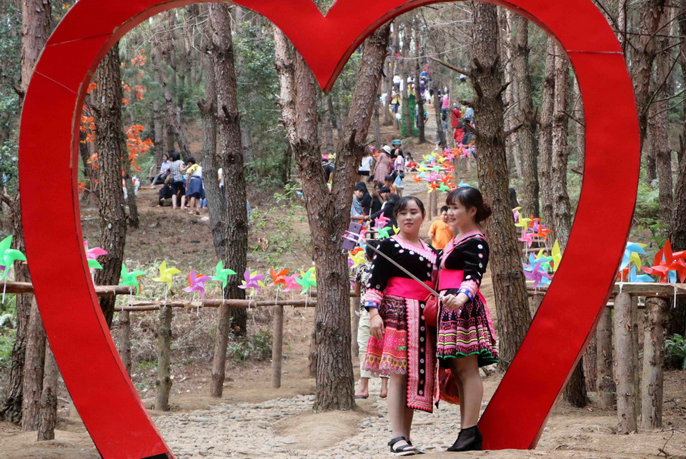 Khu du lịch sinh thái đồi thông được các bạn trẻ yêu thích và chọn làm nơi chụp ảnh lưu niệm. (Ảnh: Công Tuyên/TTXVN)