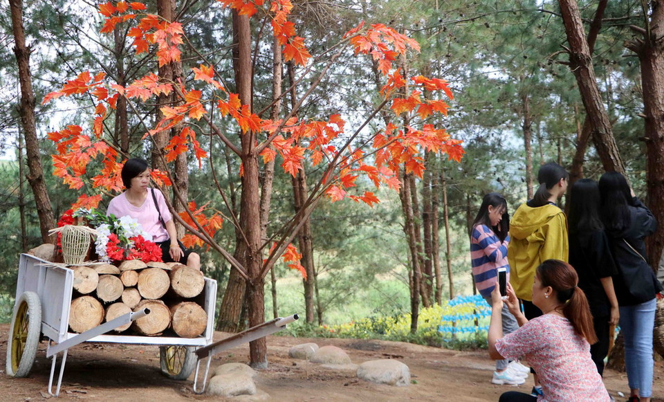 Khu du lịch sinh thái đồi thông được mọi người yêu thích đến tham quan và chụp ảnh lưu niệm. (Ảnh: Công Tuyên/TTXVN)