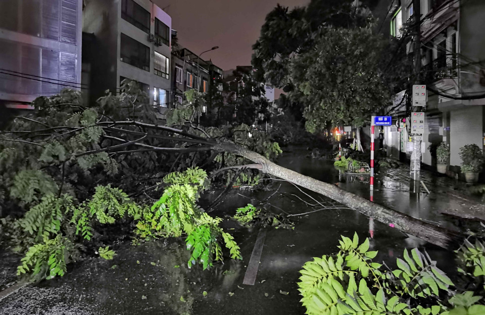 Ngay từ phố Minh Khai rẽ vào Dương Văn Bé thấy cảnh tượng gãy đổ cây xanh la liệt. (Ảnh: Thanh Tùng/TTXVN)