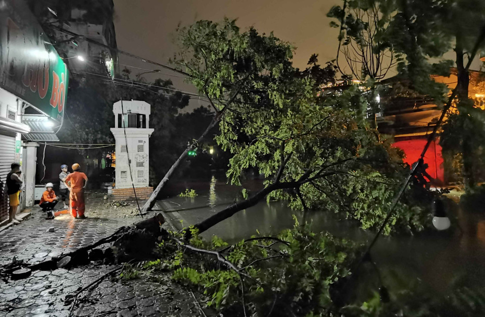 Cây gãy đổ đè lên đường dây điện được nhân viên điện lực kịp thời khắc phục. (Ảnh: Thanh Tùng/TTXVN)