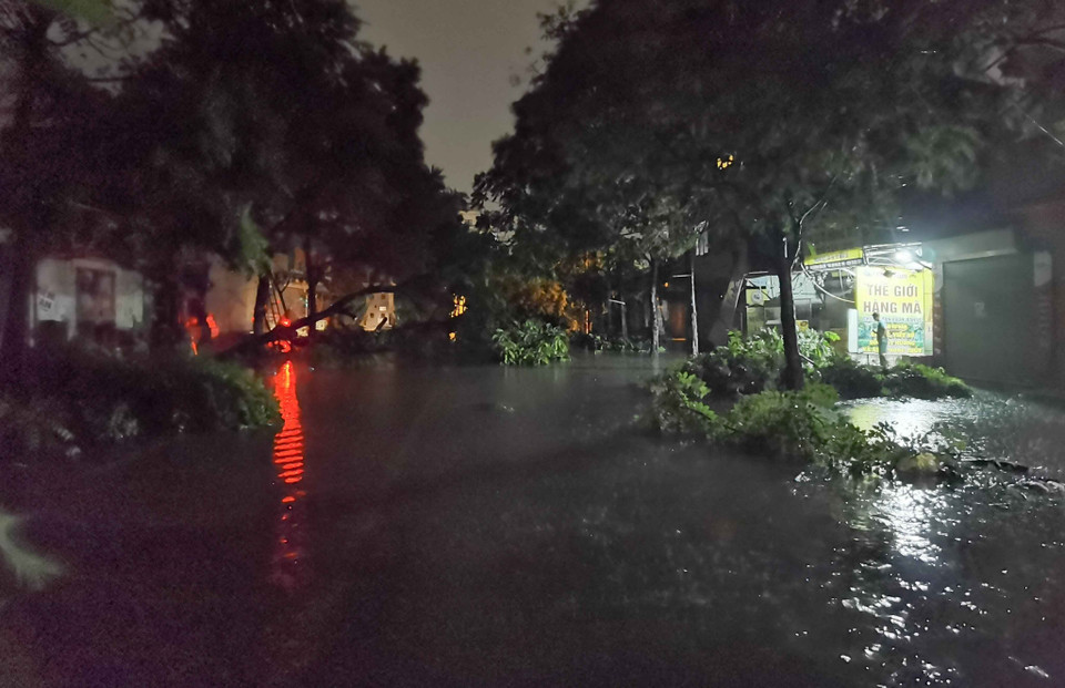 Hai hàng cây bên đường đổ la liệt. (Ảnh: Thanh Tùng/TTXVN)